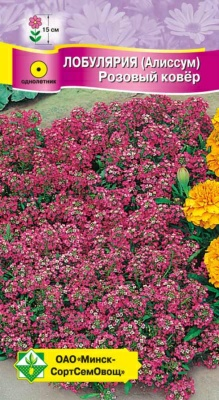 Лобулярия морская Розовый ковер 0.2г (Беларусь)