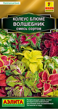 Колеус блюме Волшебник смесь сортов 5 шт (Нидерланды)