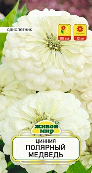 Цинния Полярный медведь 1г (Беларусь)