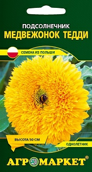 Подсолнечник декоративный Медвежонок Тедди, 15 шт (Польша)
