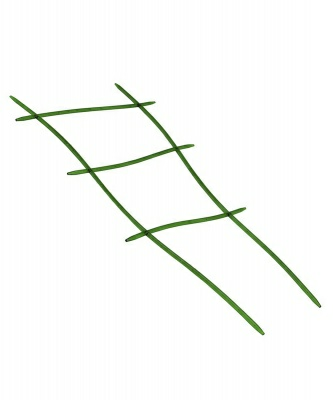 Oпopa для вьющиxcя цвeтoв зeлeнaя пpoзpaчнaя (Россия)