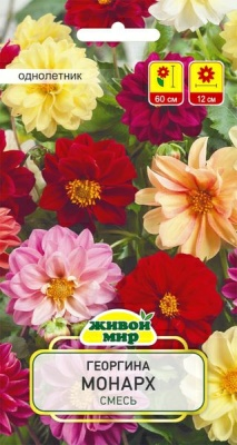 Георгина Монарх смесь W. Legutko 0,5 г (Беларусь)