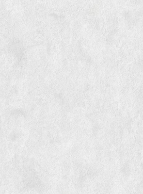  Обои ЛЕСЛИ ФОН к-11, 23ДТР, 10,05*0,53м (Беларусь)