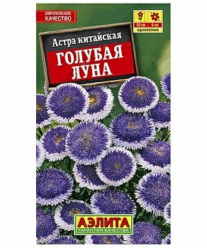 Астра Голубая луна помпонная семена (Германия)
