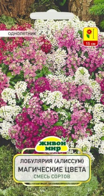 Лобулярия Алиссум Снежный ковер W. Legutko 0,3 г (Беларусь)