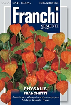 Физалис Франкетти Franchi (Россия)