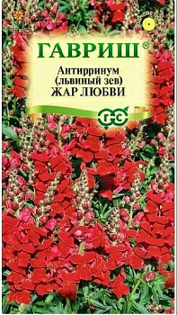 Антирринум Львиный зев Жар любви 0,05 г (Россия)