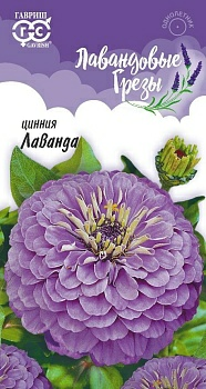 Цинния Лаванда 0,5г (Россия)