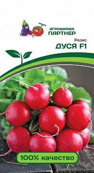 Редис ДУСЯ F1 (2г) (Россия)