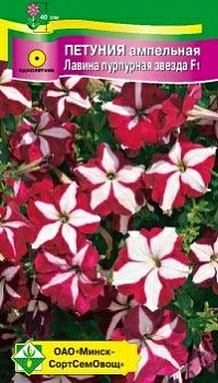 Петуния гибрит ампельная Лавина пурпурная звезда F1, 7шт (Беларусь)
