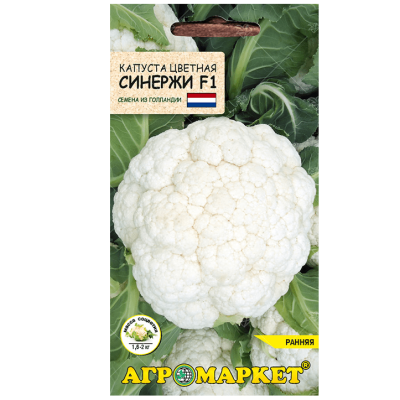 Капуста цветная Синержи F1, 15шт  (Нидерланды)