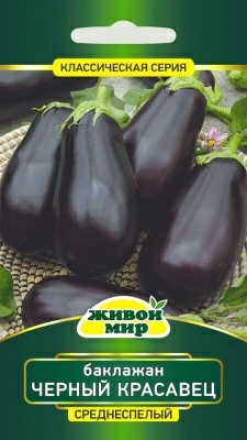 Баклажан Черный красавец N.L.Chrestensen (Беларусь)