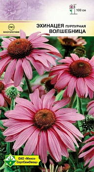 Эхинацея пурпурная Волшебница 0.3г (Германия)