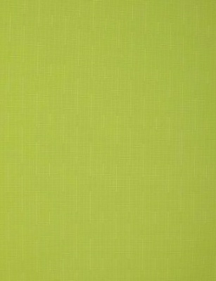 Штора рулонная 72(68)*160 СРШ-01МЭ-2653 (Беларусь)