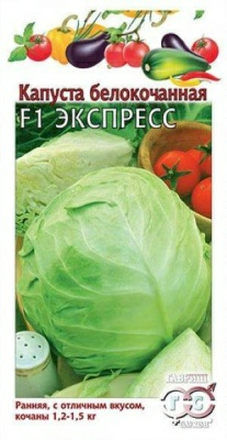 Капуста белокочанная Экспресс F1 ранняя (Россия)