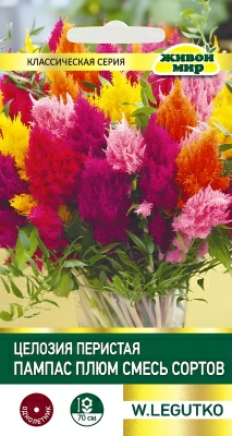 Целозия перистая Пампас плюм смесь сортов W. Legutko 0,3 г (Беларусь)