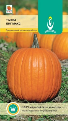 Тыква Биг Макс среднепоздняя (Германия)