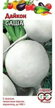 Дайкон Саша 1г (Россия)