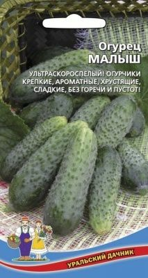 Огурец Малыш|купить Практик Борисов