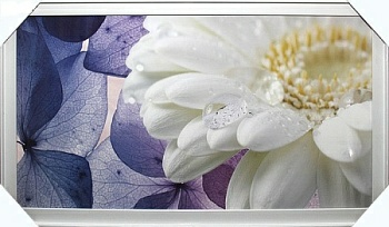 Репродукция 50/100 (1) УП мдф ш 8С2071 (Беларусь)