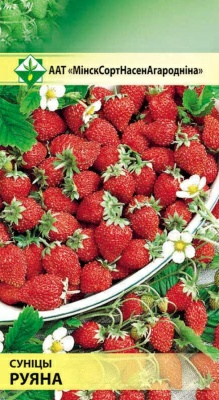Земляника Руяна 100шт (Германия)