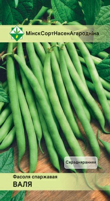 Фасоль Валя спаржевая 7г (Голландия)