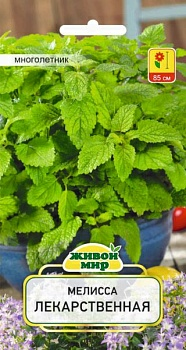 Мелисса лекарственная Цитрина (W. Legutko) 0.3г (Беларусь)