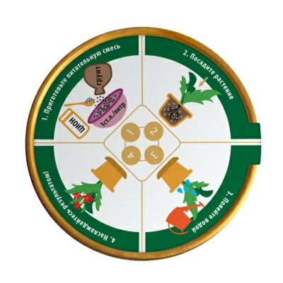 Ионитный субстрат ZION (Цион) универсальный полимерный контейнер 700г (Россия)