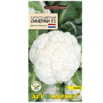 Капуста цветная Синержи F1, 15шт  (Нидерланды)