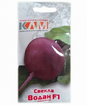 Свекла столовая Водан F1, 3,00-3,50 мм 1гр (Нидерланды)