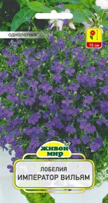 Лобелия Император Вильям (W. Legutko) 0.1г (Беларусь)