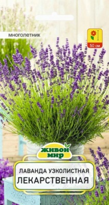 Лаванда узколистная Лекарственная (W. Legutko) 0.3г (Беларусь)