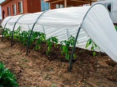 Парник Бабушкин парничок 4м ОСТРОВ КОМФОРТА (Россия)