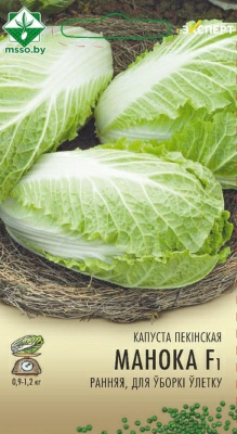 Капуста пекинская Маноко F1 Эксперт (Нидерланды)