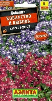 Лобелия Коварство и любовь (Нидерланды)