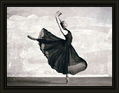 Репродукция 60/80 (1) мдф 8С2095 (Беларусь)