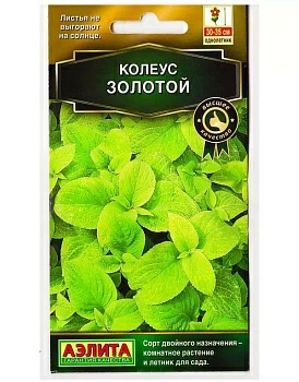 Колеус блюме Золотой семена (Россия)