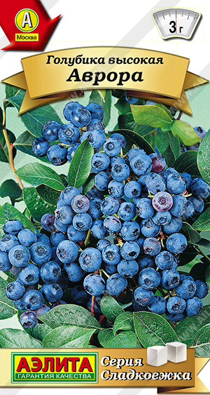 Голубика высокая Аврора 0,01 г (Россия)