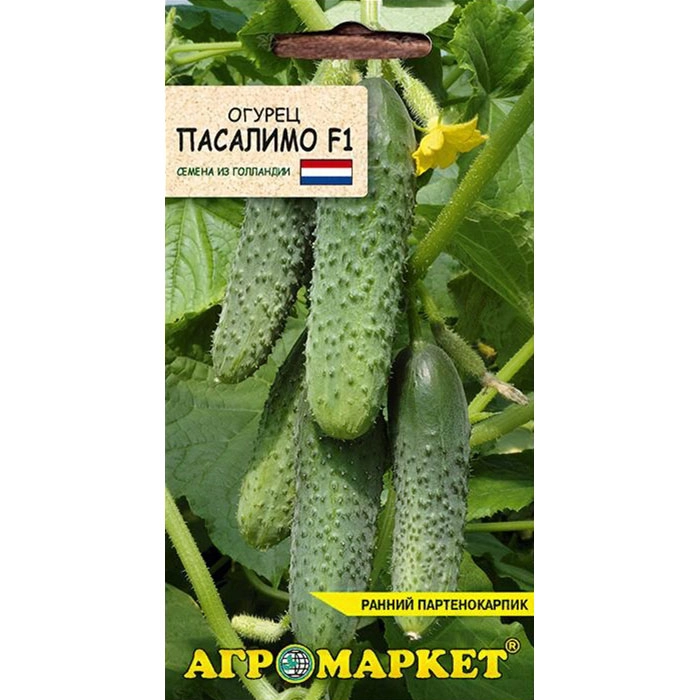 Огурец Пасалимо F1 (Нидерланды)