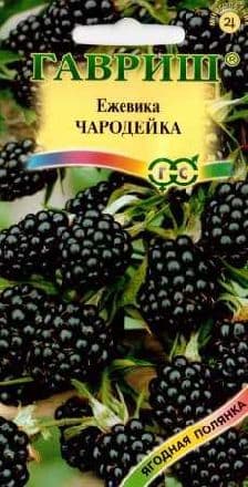 Ежевика Чародейка 10 шт Н13 (Россия)