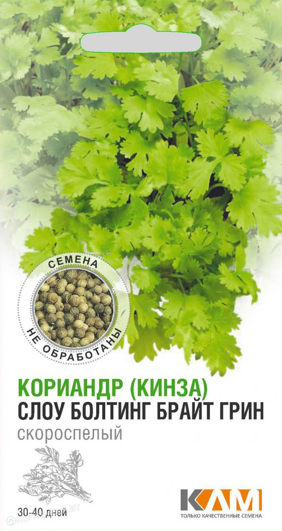 Кориандр Слоу Болтинг Брайт Грин 50 шт (Италия)