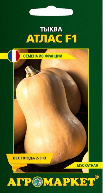 Тыква Атлас F1,5 шт (Франция)