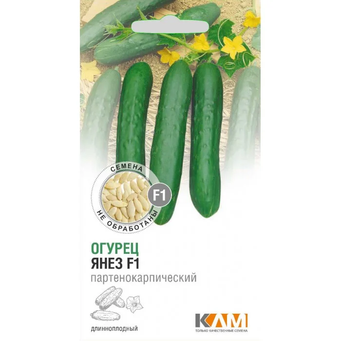 Огурец Янез F1 (Беларусь)
