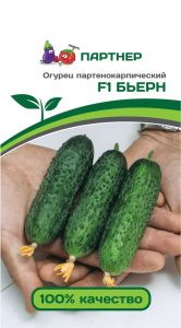 Огурец БЬЕРН F1 (5шт) (Россия)