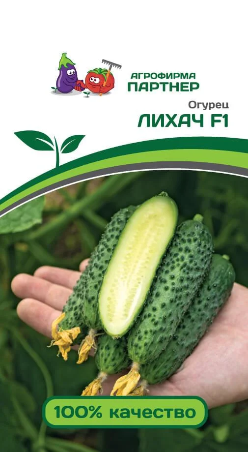 Огурец ЛИХАЧ F1 (5шт) (Россия)
