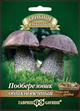 Подберезовик на зерновом субстрате 15мл (Россия)
