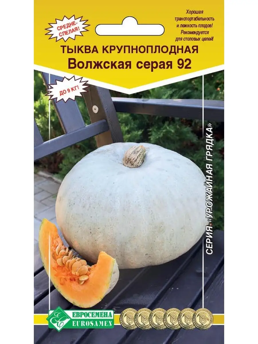 Тыква Волжская Серая 92 (Россия)