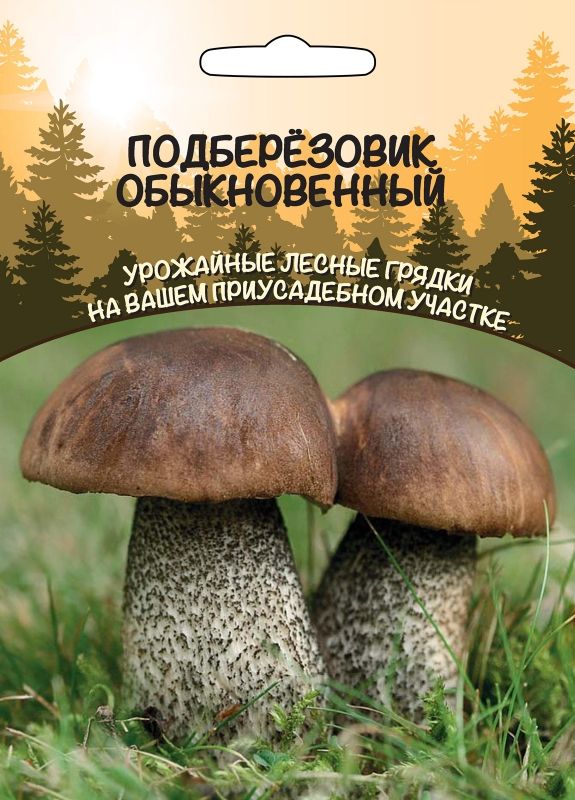 Масленок Обыкновенный 15г/30мл (Россия)