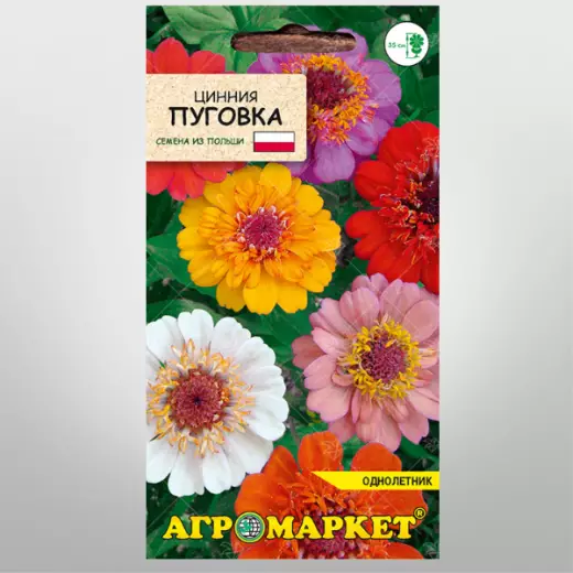Цинния Пуговка 1г (Польша)