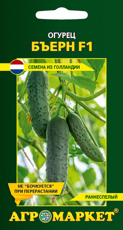 Огурец Бъерн F1, 10шт (Нидерланды)